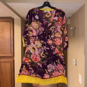 Swimsuit cover up or sheer dress